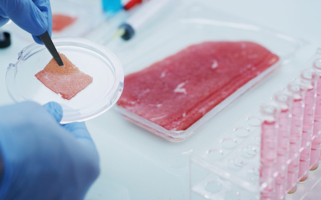 Is Cultured Meat Taking off in China?